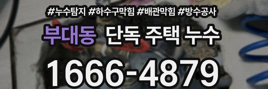 부대동 단독 주택 누수