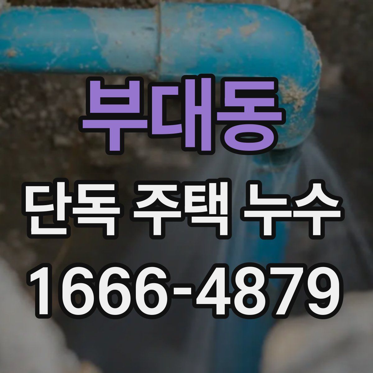 부대동 단독 주택 누수