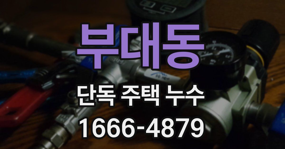 부대동 단독 주택 누수