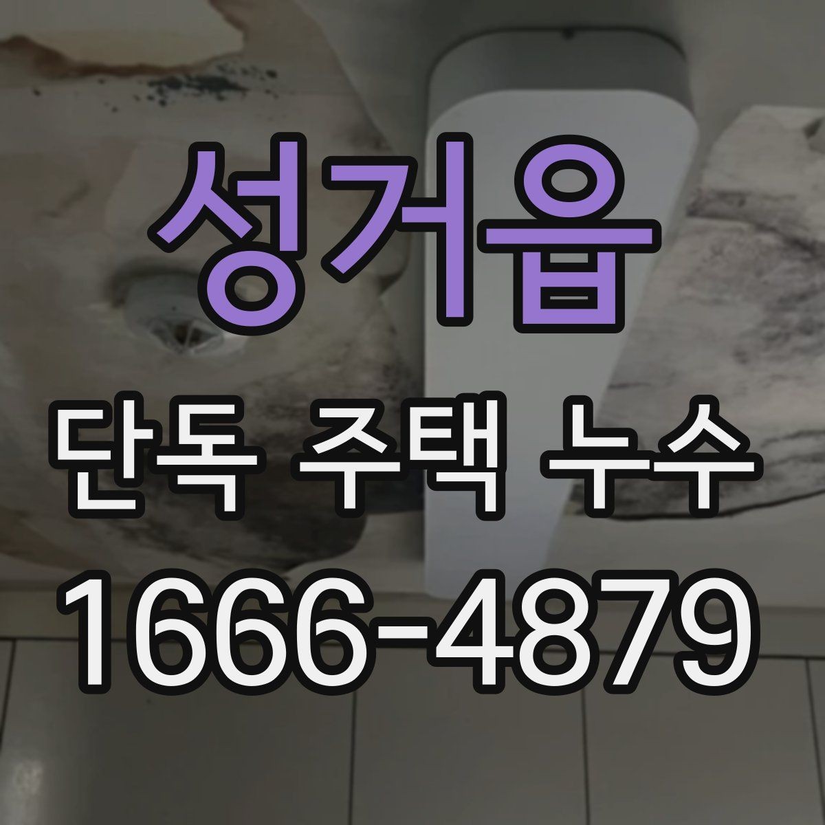 성거읍 단독 주택 누수 옥상과 베란다를 함께 확인해야 하는 이유