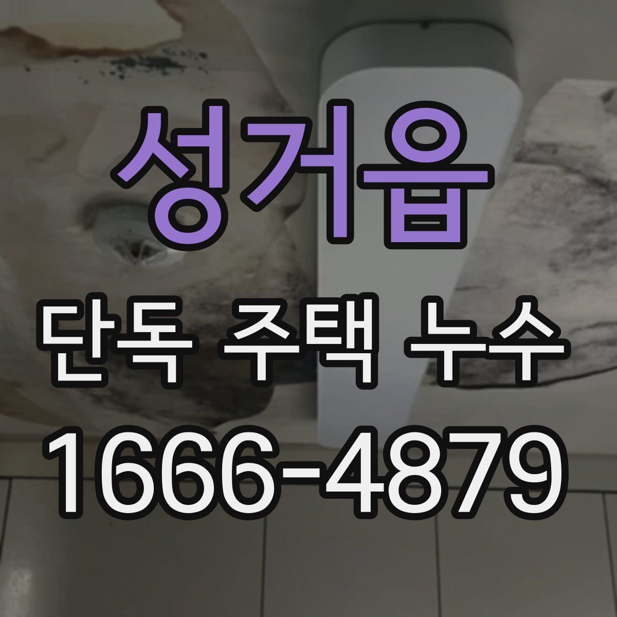 성거읍 단독 주택 누수