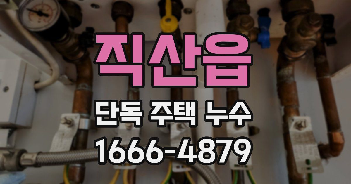 직산읍 단독 주택 누수