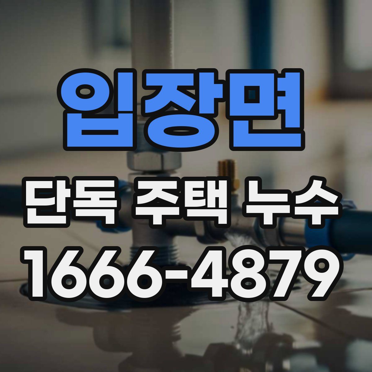 입장면 단독 주택 누수