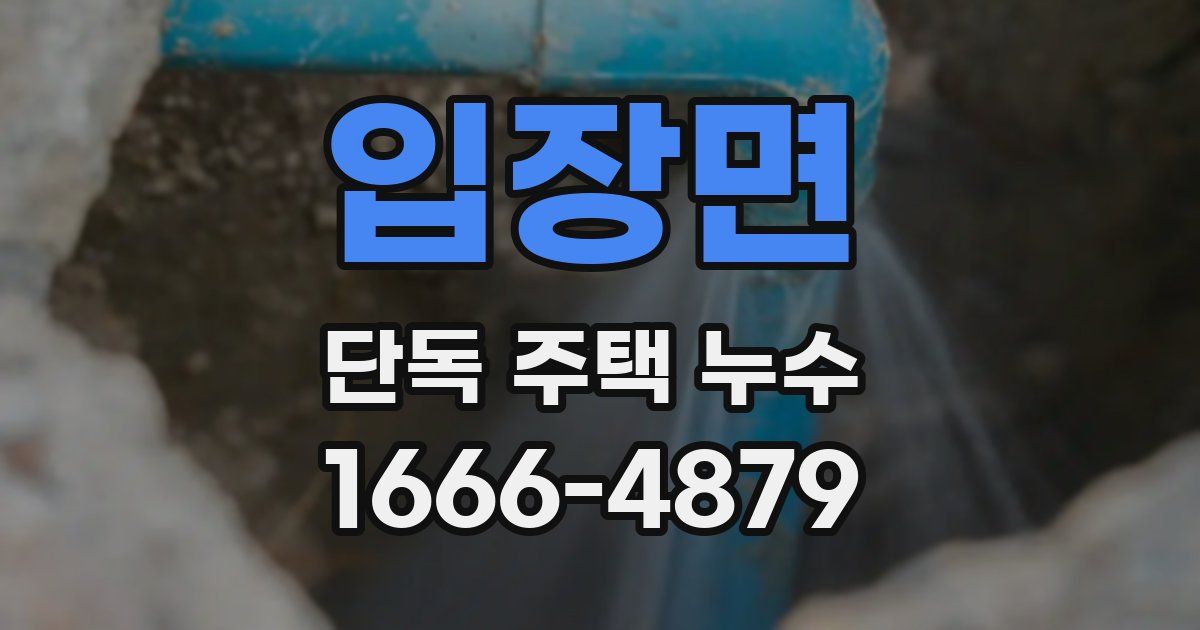 입장면 단독 주택 누수
