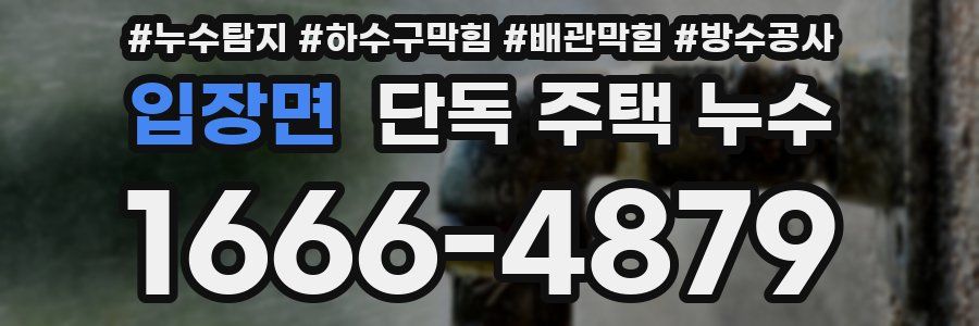 입장면 단독 주택 누수