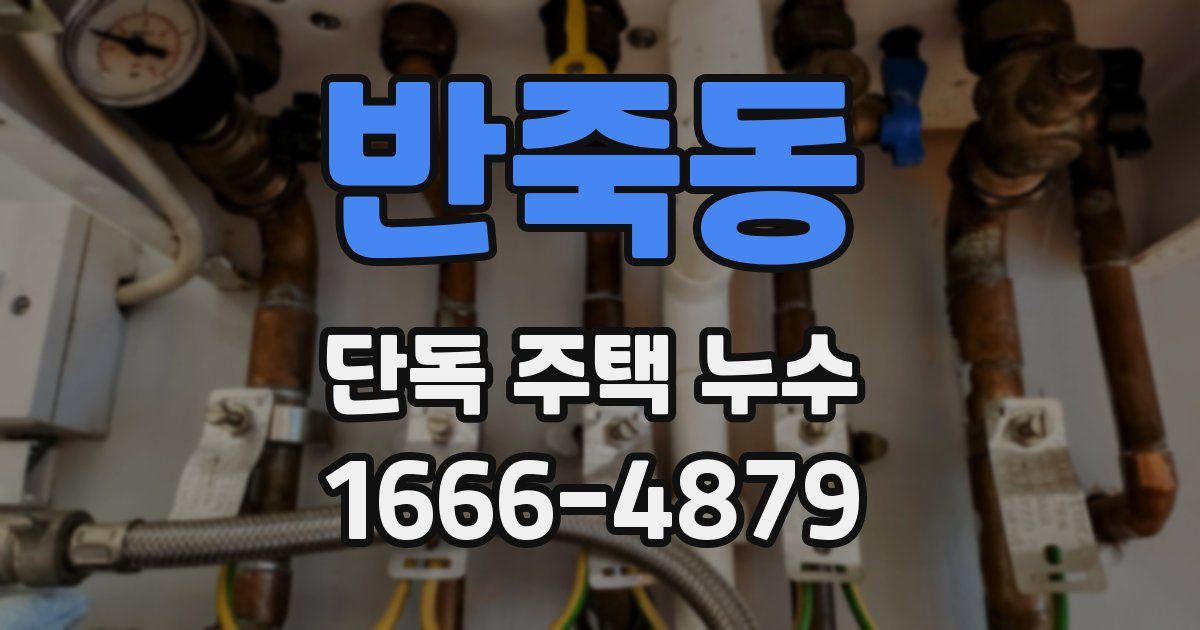 반죽동 단독 주택 누수