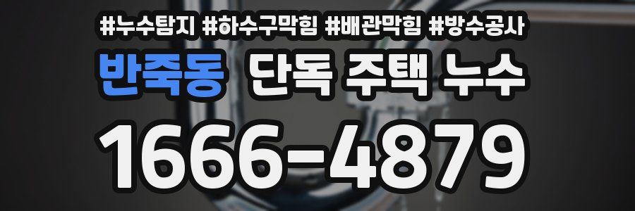 반죽동 단독 주택 누수