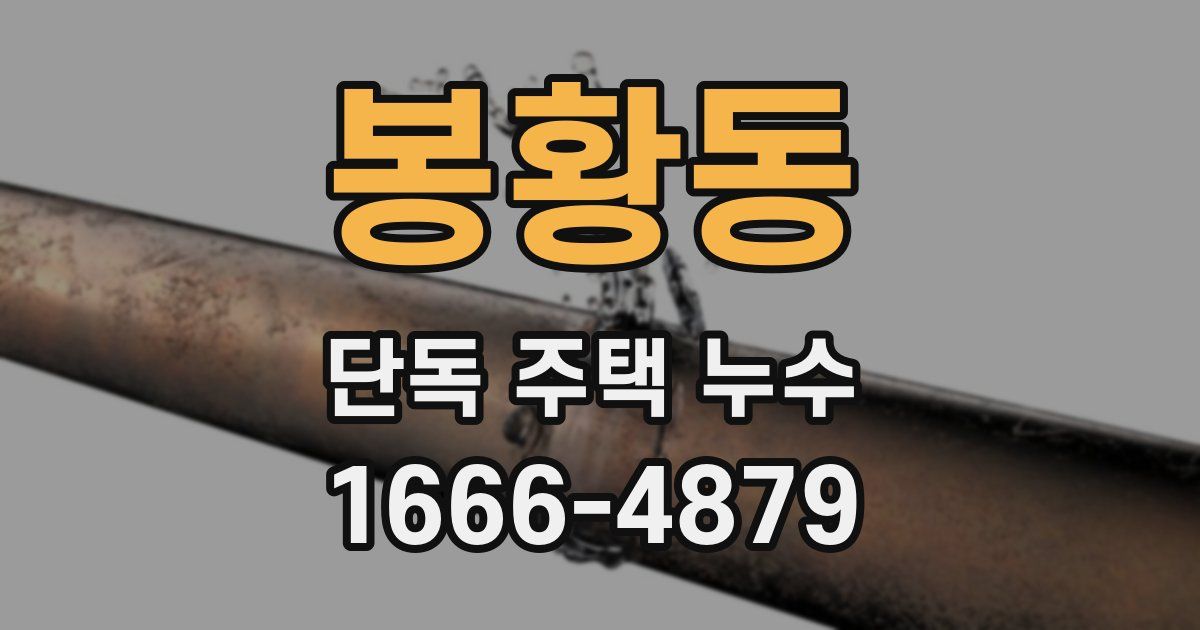 봉황동 단독 주택 누수
