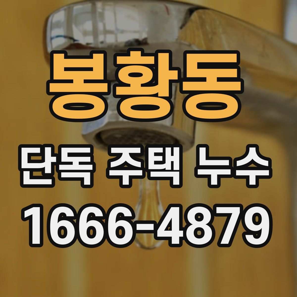 봉황동 단독 주택 누수