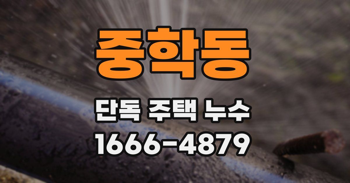 중학동 단독 주택 누수