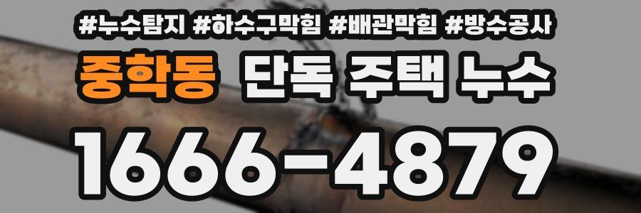 중학동 단독 주택 누수