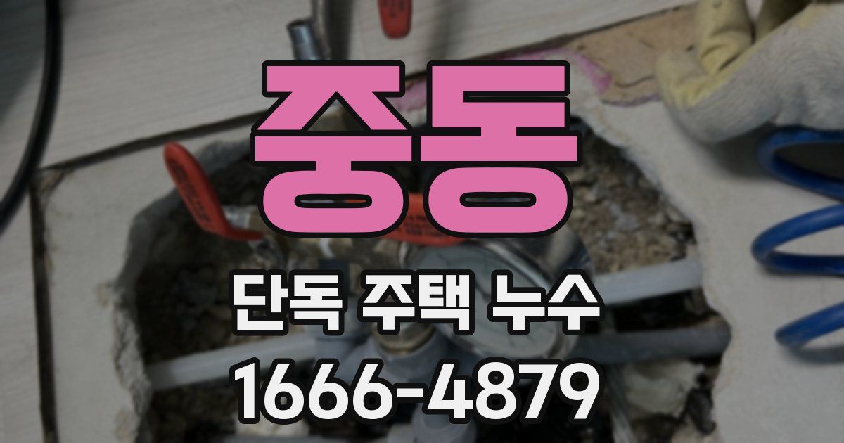 중동 단독 주택 누수