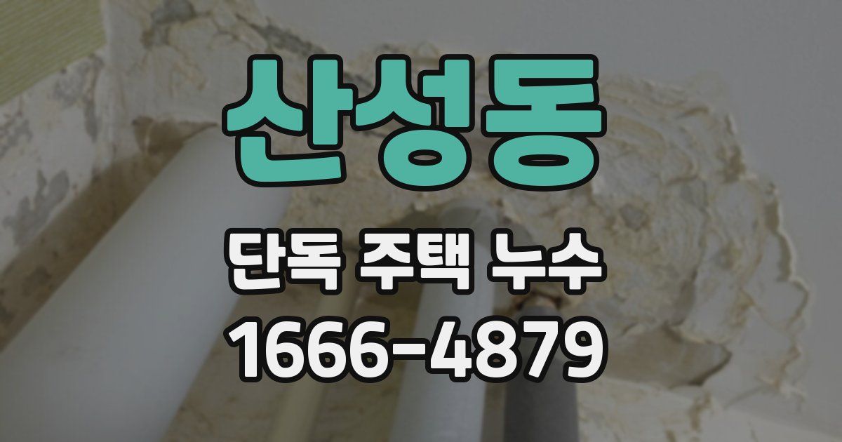 산성동 단독 주택 누수