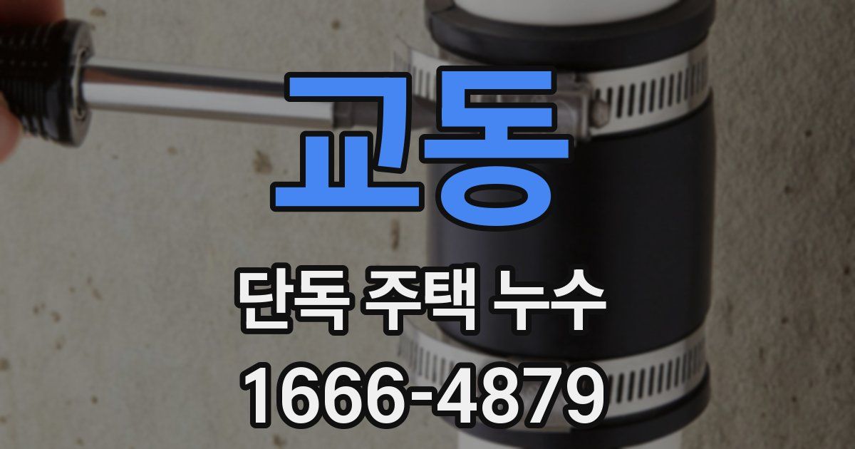 교동 단독 주택 누수