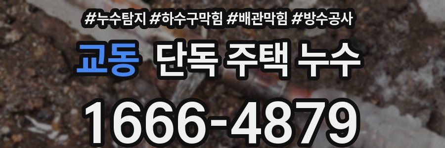 교동 단독 주택 누수