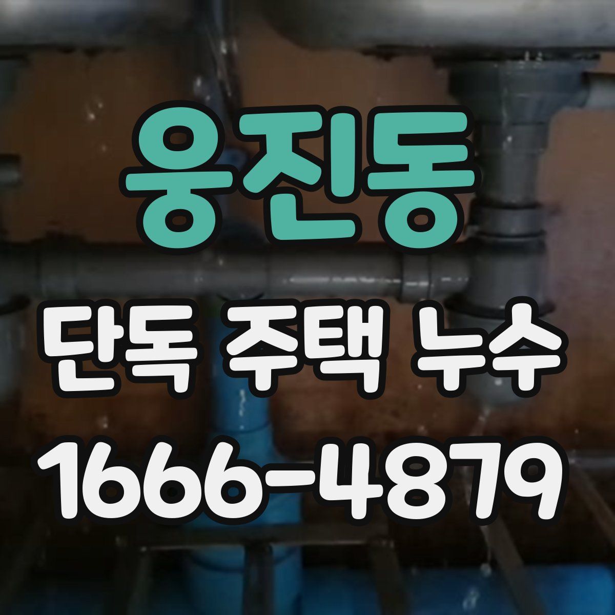 웅진동 단독 주택 누수