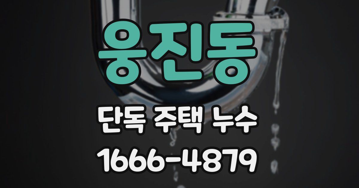 웅진동 단독 주택 누수
