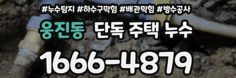 웅진동 단독 주택 누수