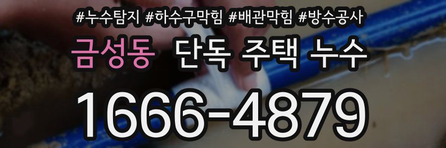 금성동 단독 주택 누수