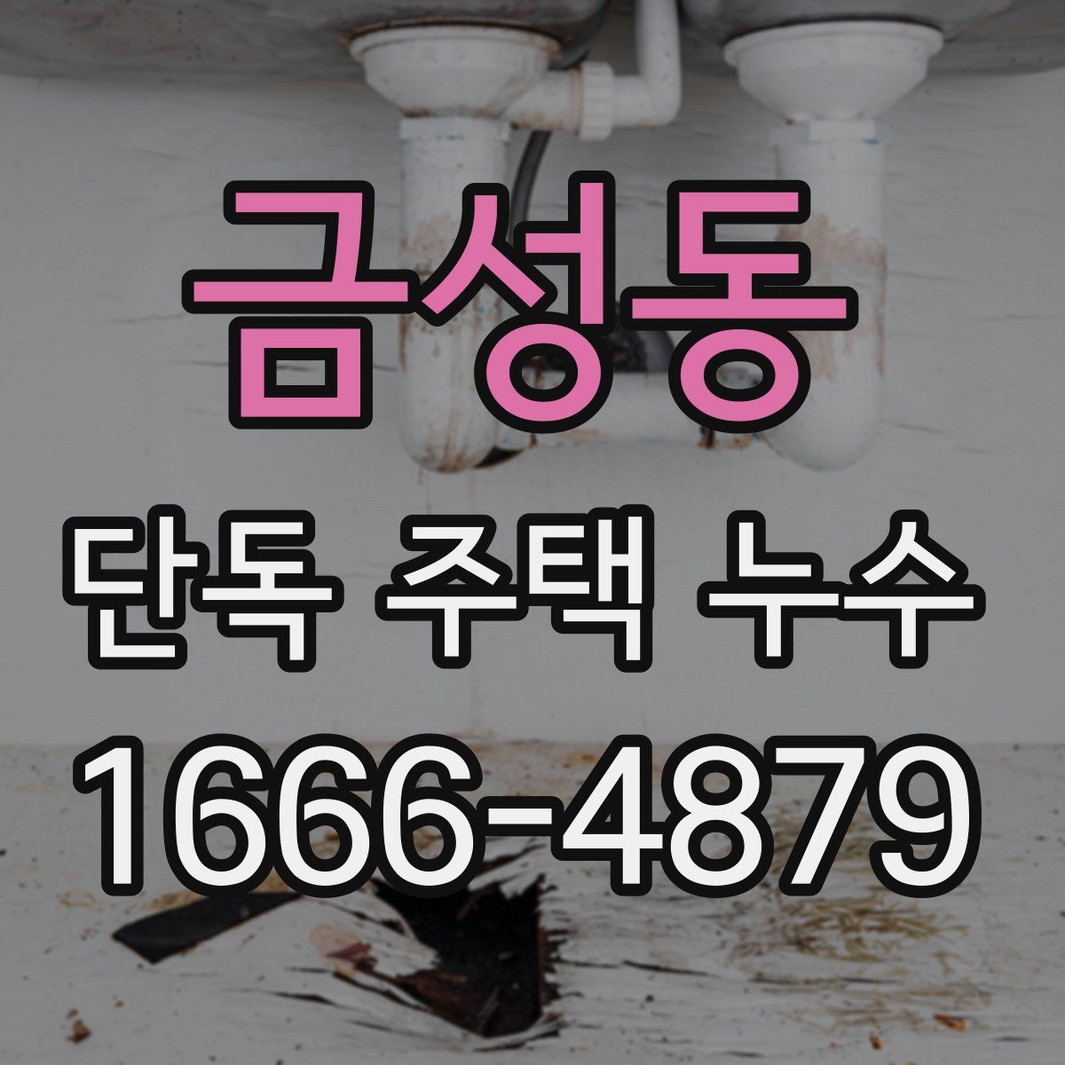 금성동 단독 주택 누수