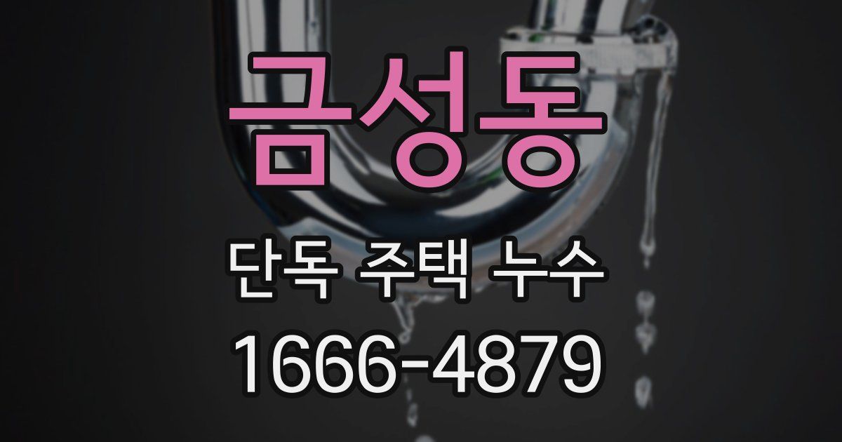 금성동 단독 주택 누수