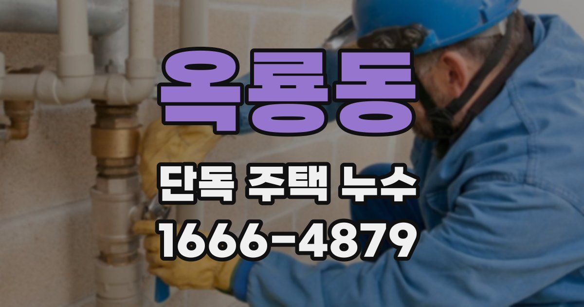 옥룡동 단독 주택 누수