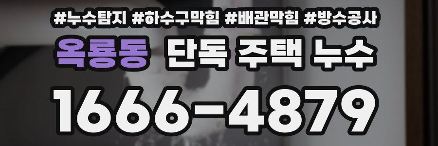 옥룡동 단독 주택 누수