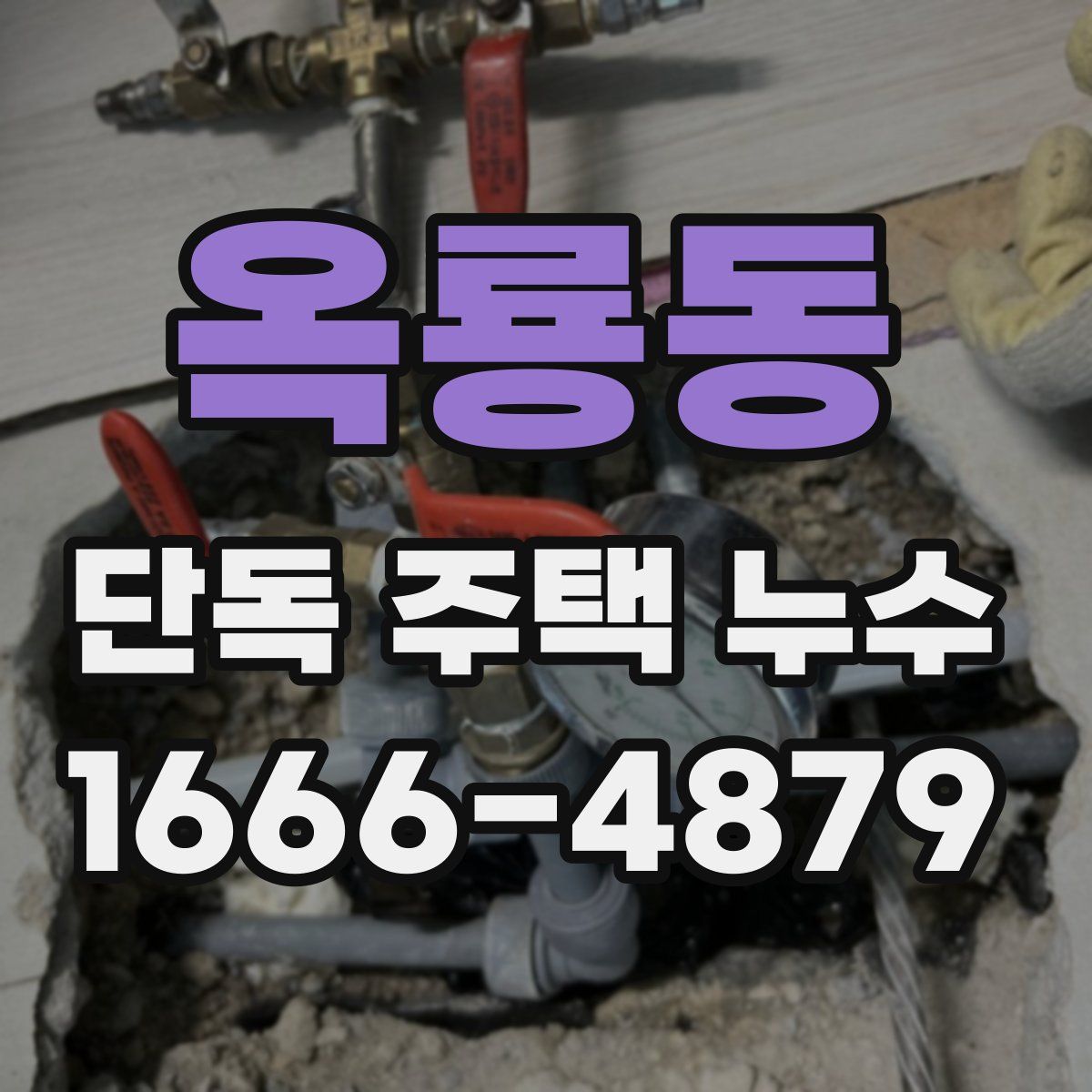 옥룡동 단독 주택 누수