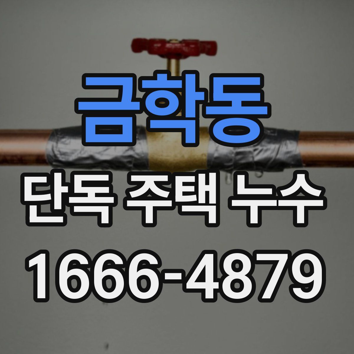 금학동 단독 주택 누수