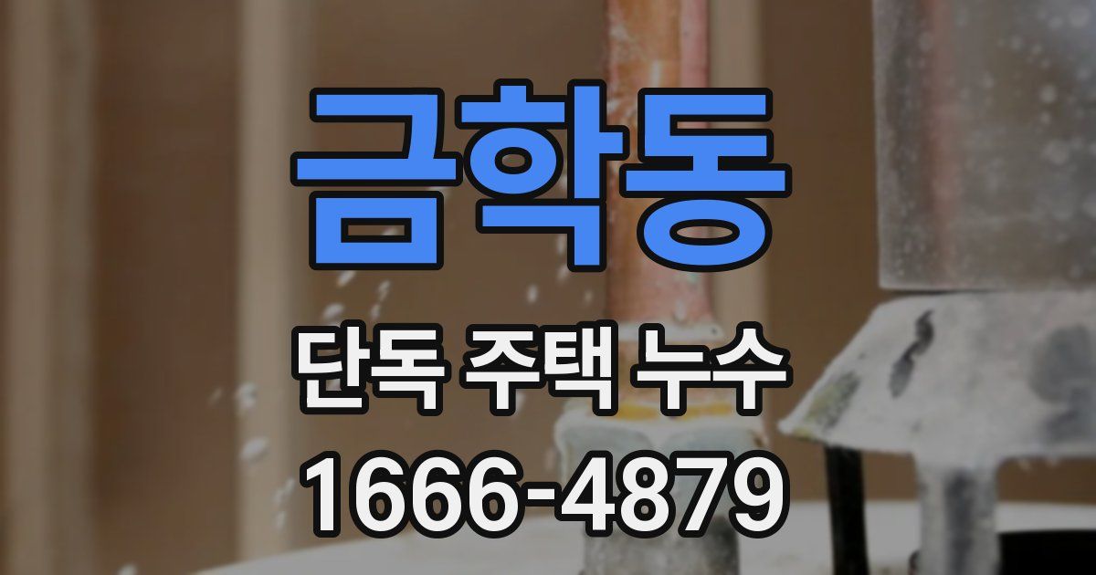 금학동 단독 주택 누수
