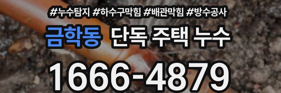 금학동 단독 주택 누수