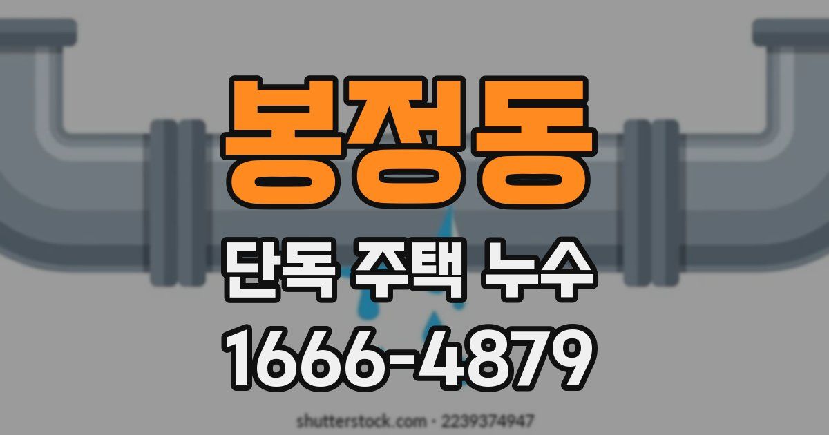 봉정동 단독 주택 누수