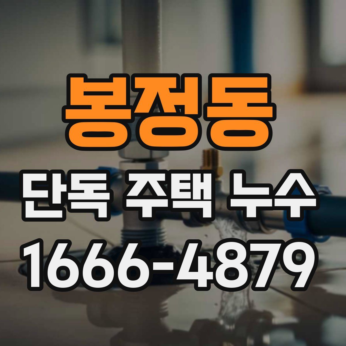 봉정동 단독 주택 누수
