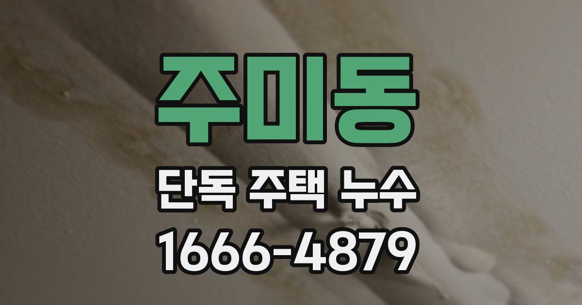 주미동 단독 주택 누수