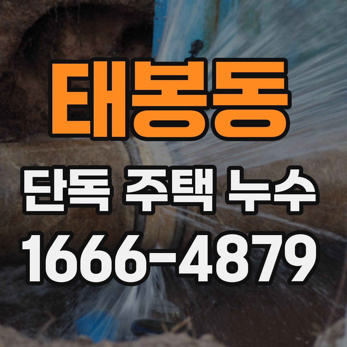 태봉동 단독 주택 누수