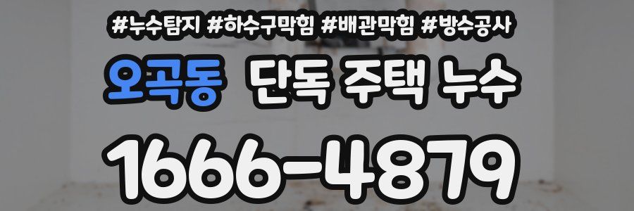 오곡동 단독 주택 누수