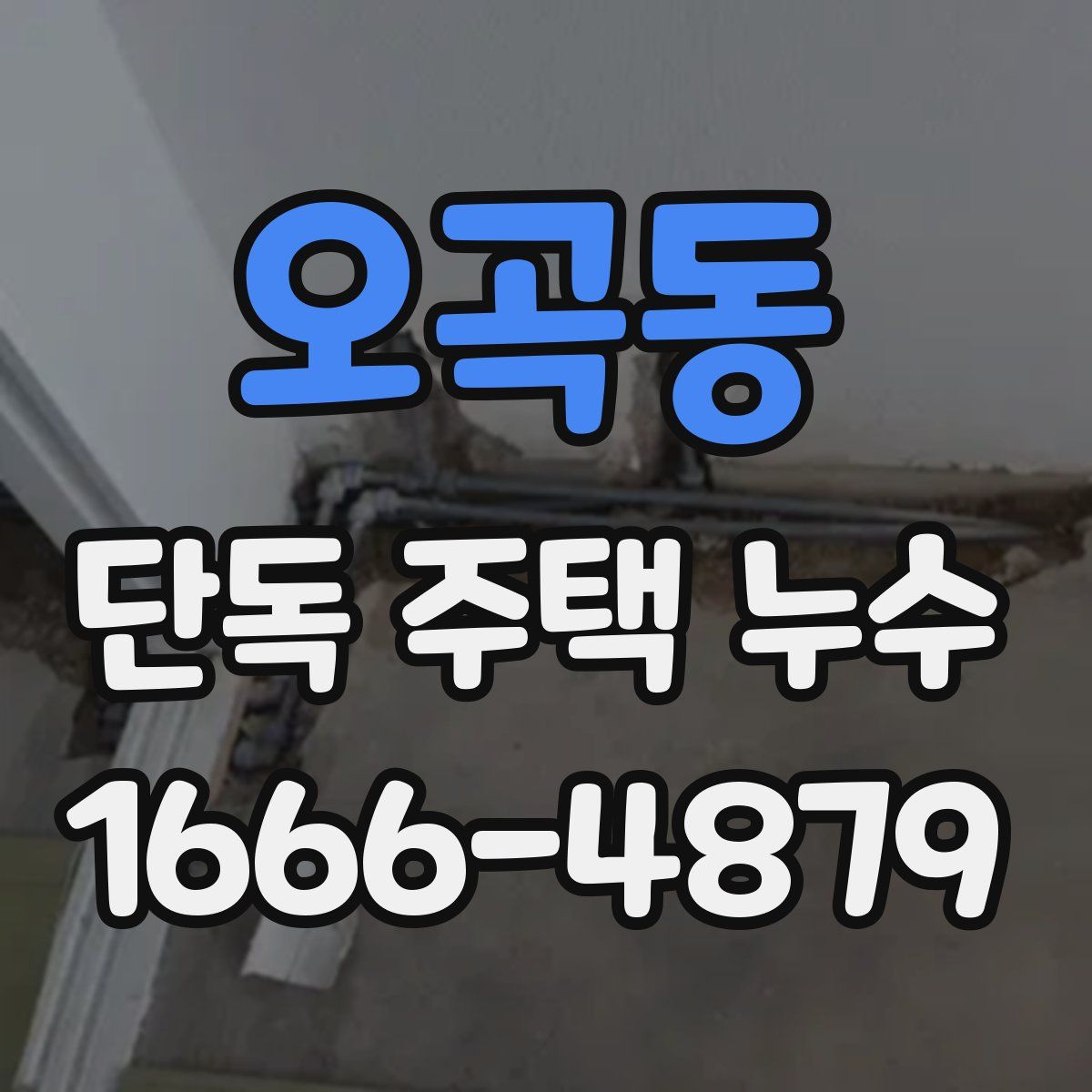 오곡동 단독 주택 누수