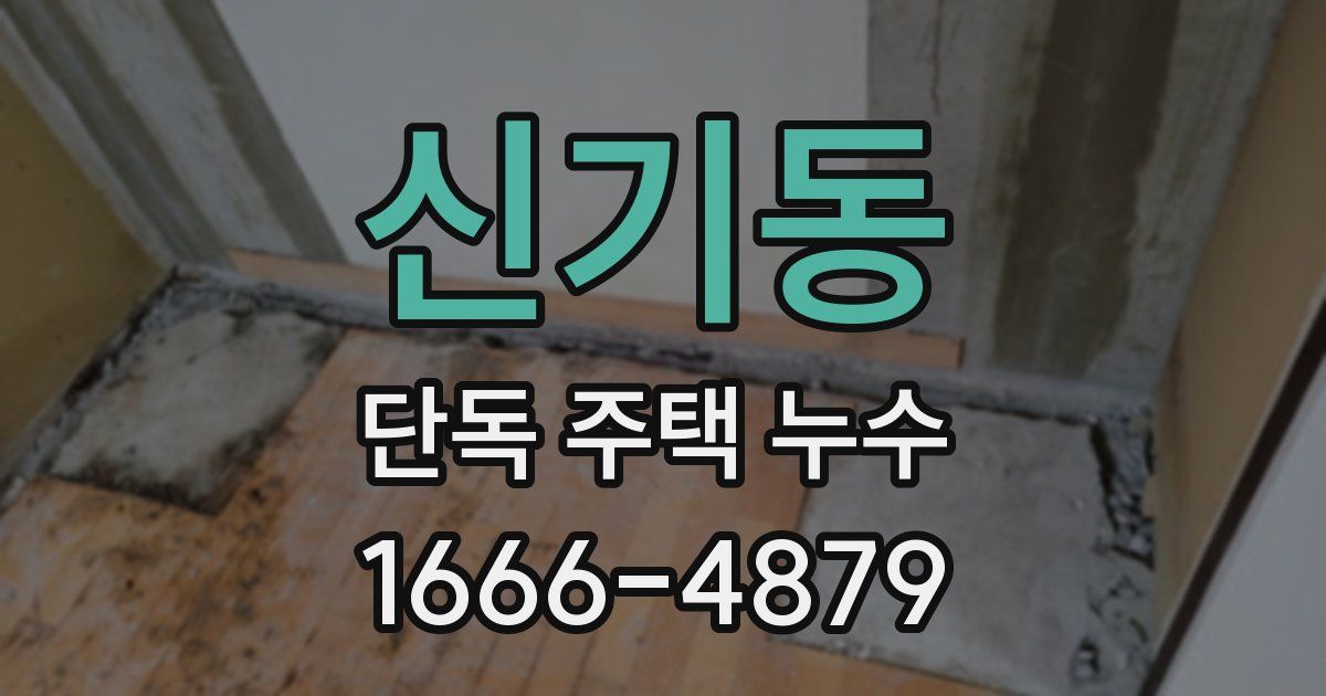 신기동 단독 주택 누수