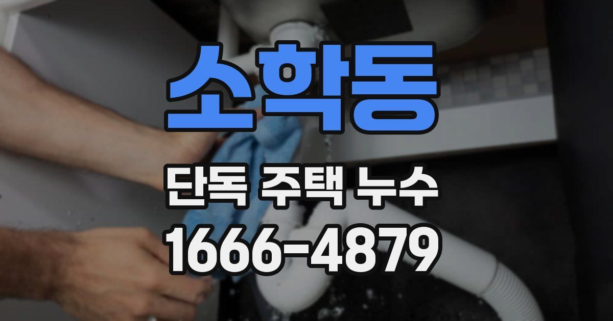 소학동 단독 주택 누수