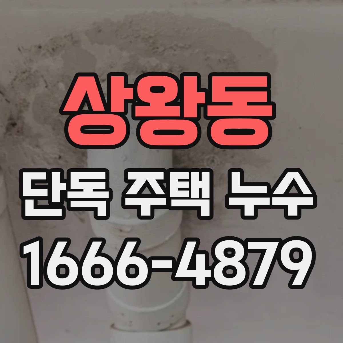 상왕동 단독 주택 누수