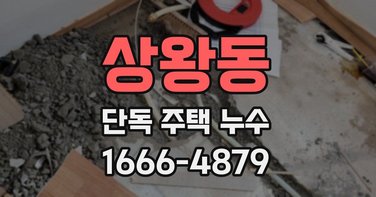 상왕동 단독 주택 누수