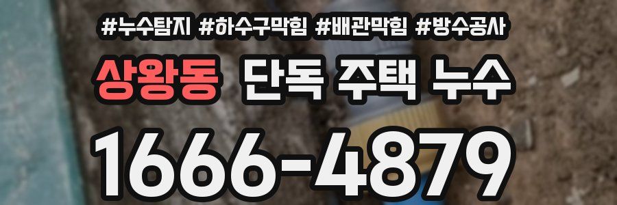 상왕동 단독 주택 누수