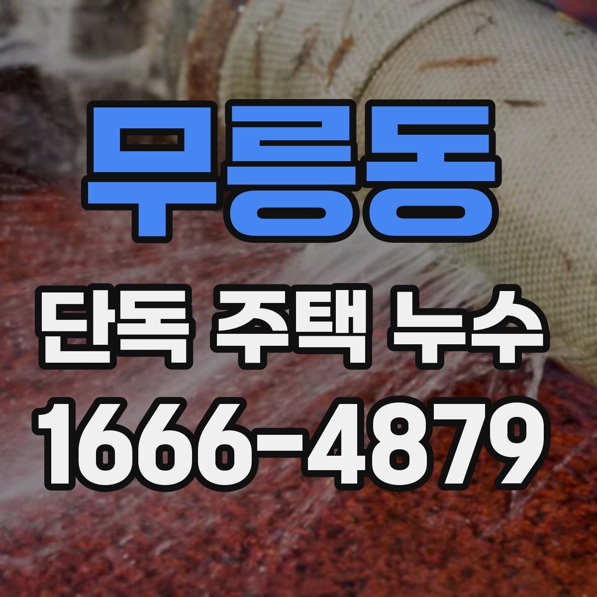무릉동 단독 주택 누수