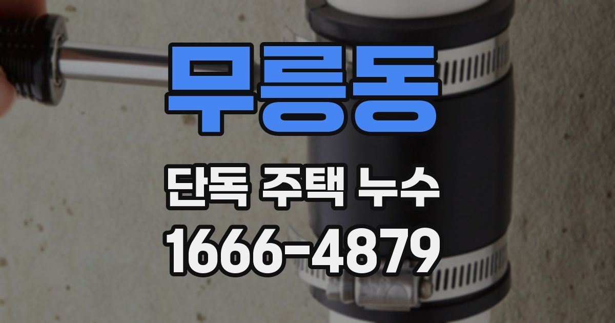 무릉동 단독 주택 누수