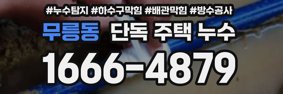 무릉동 단독 주택 누수