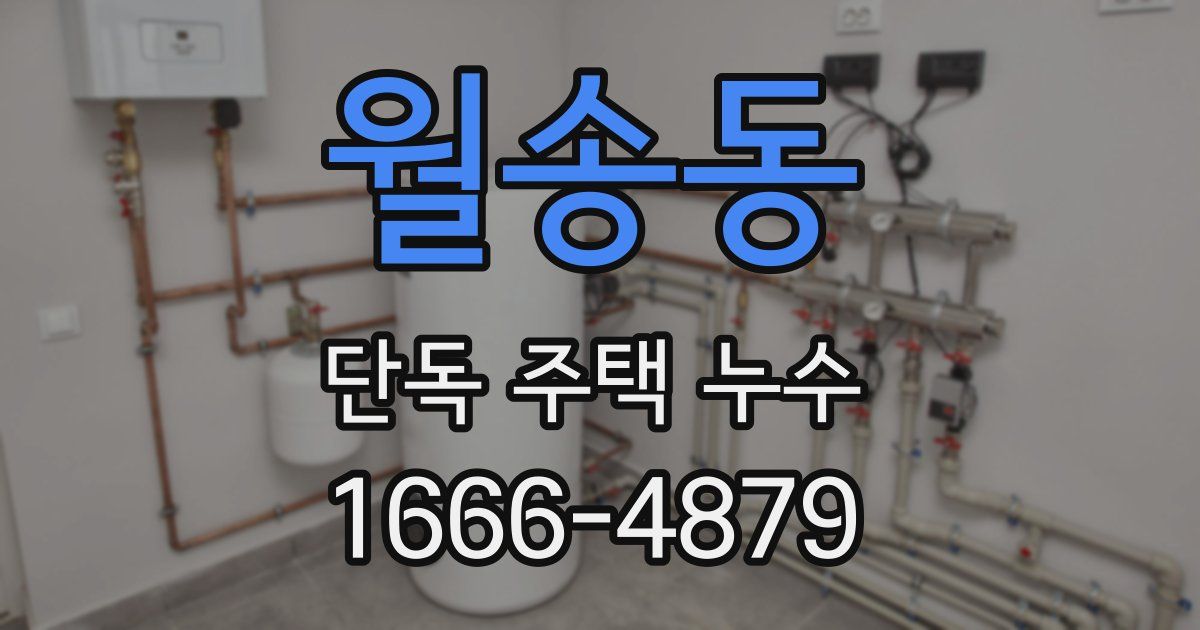 월송동 단독 주택 누수