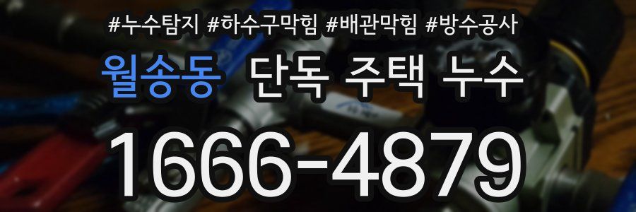 월송동 단독 주택 누수