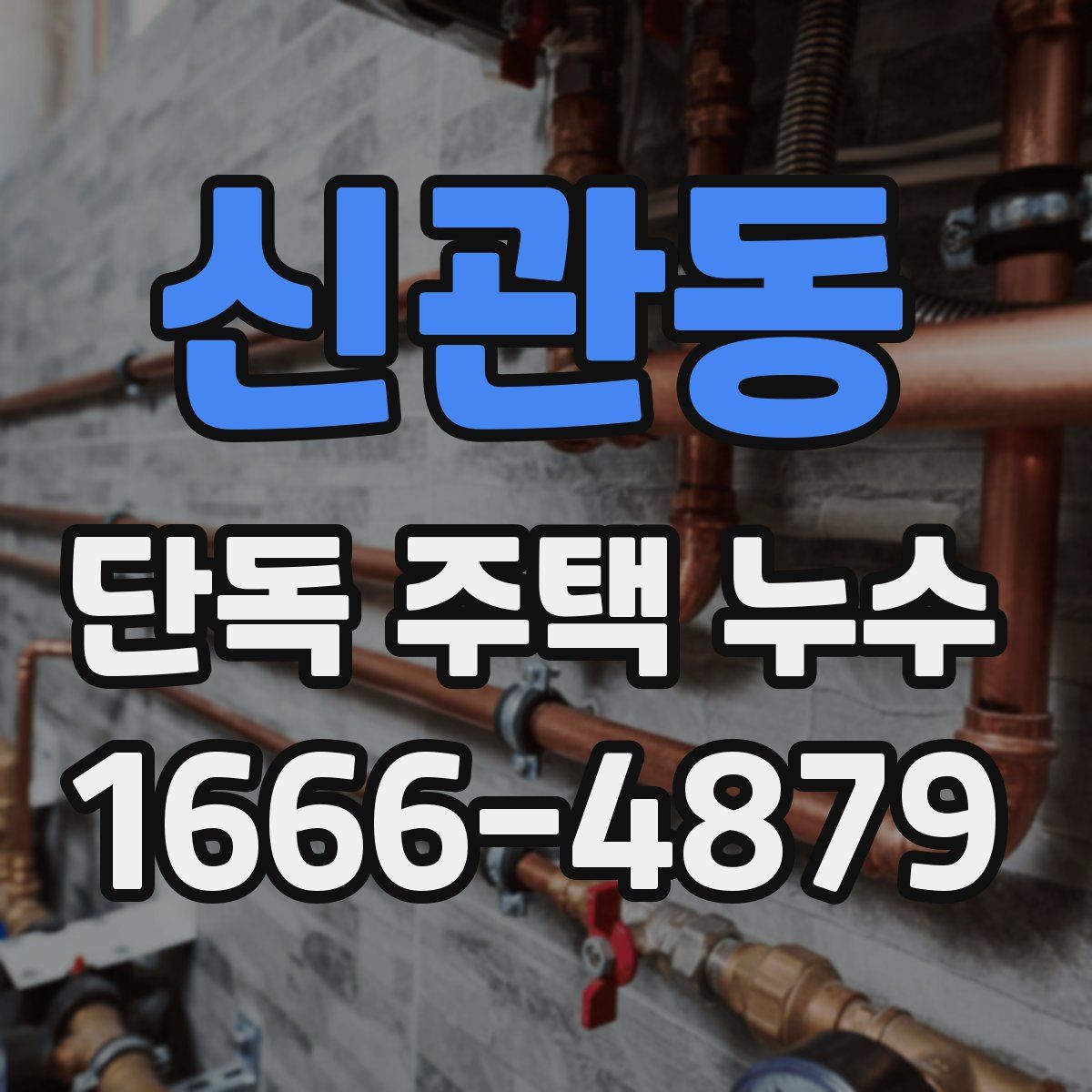 신관동 단독 주택 누수