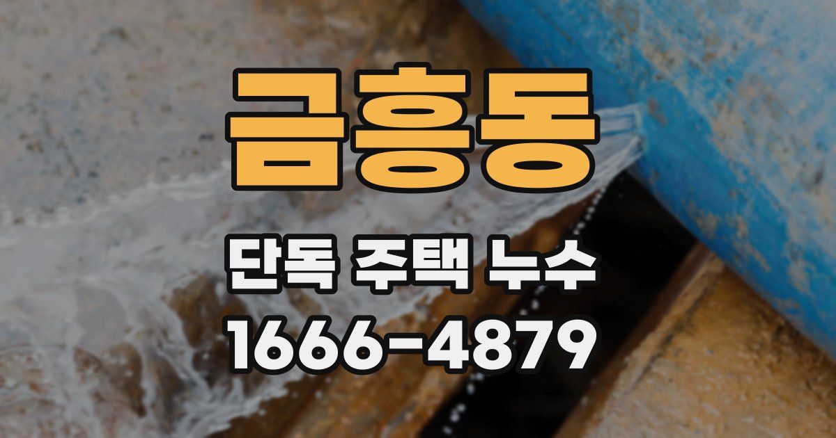 금흥동 단독 주택 누수
