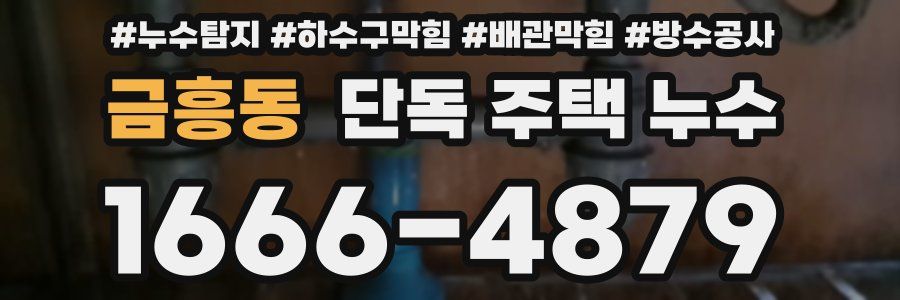 금흥동 단독 주택 누수